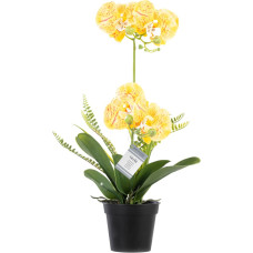Mākslīgais ORCHI zieds, dzeltens