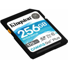 SD Atmiņas Karte Kingston SDG3/256GB 256GB 256 GB